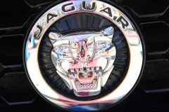 Watts 3D Car Art | Jaguar #6